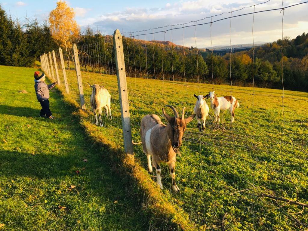 Dom Wschodzacego Slonca Apartamento Solina  Exterior foto